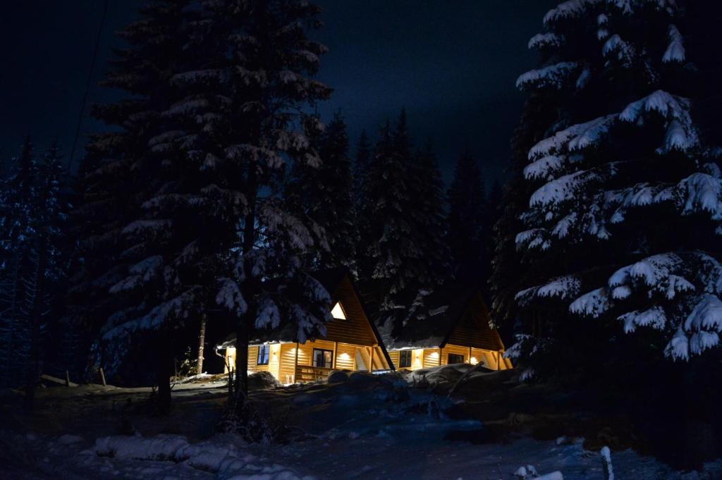 Gorske Vile Jahorina - 3