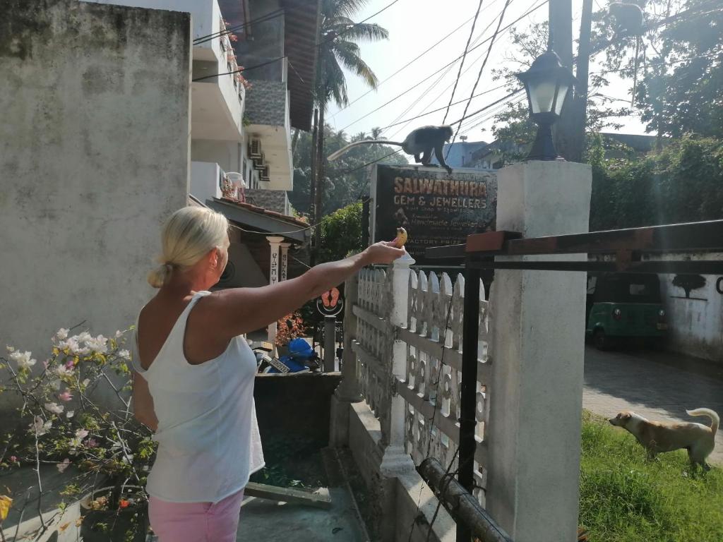 Rainbowswell Beach Resort photo