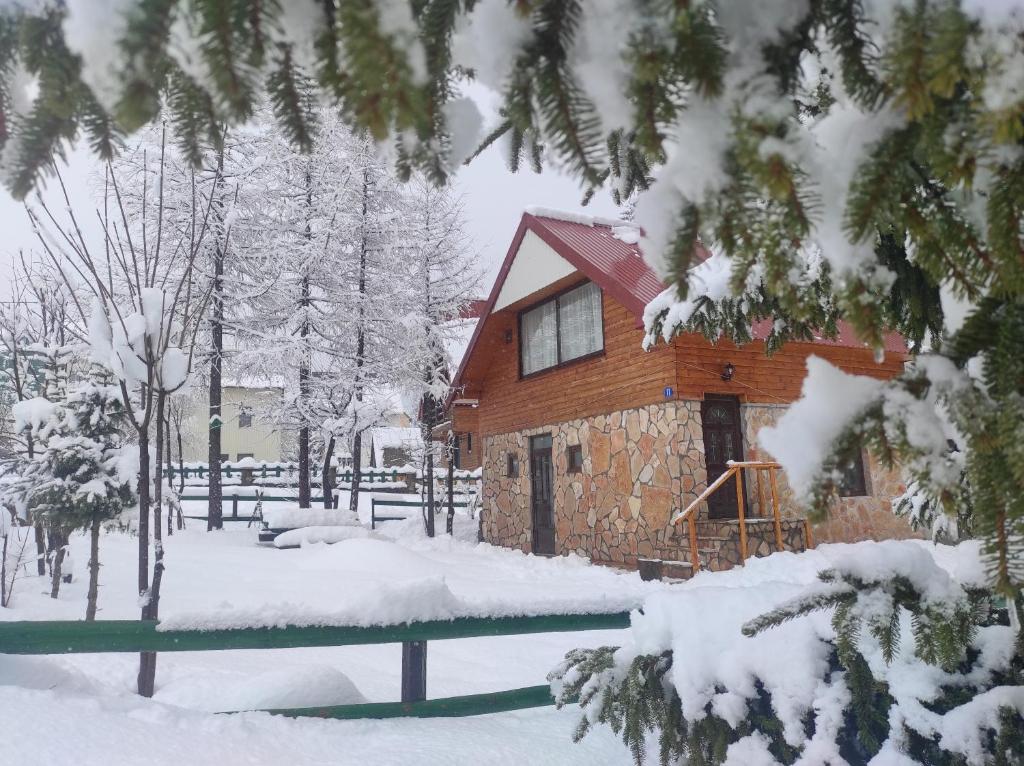 LARIX DURMITORES Apartments - 1