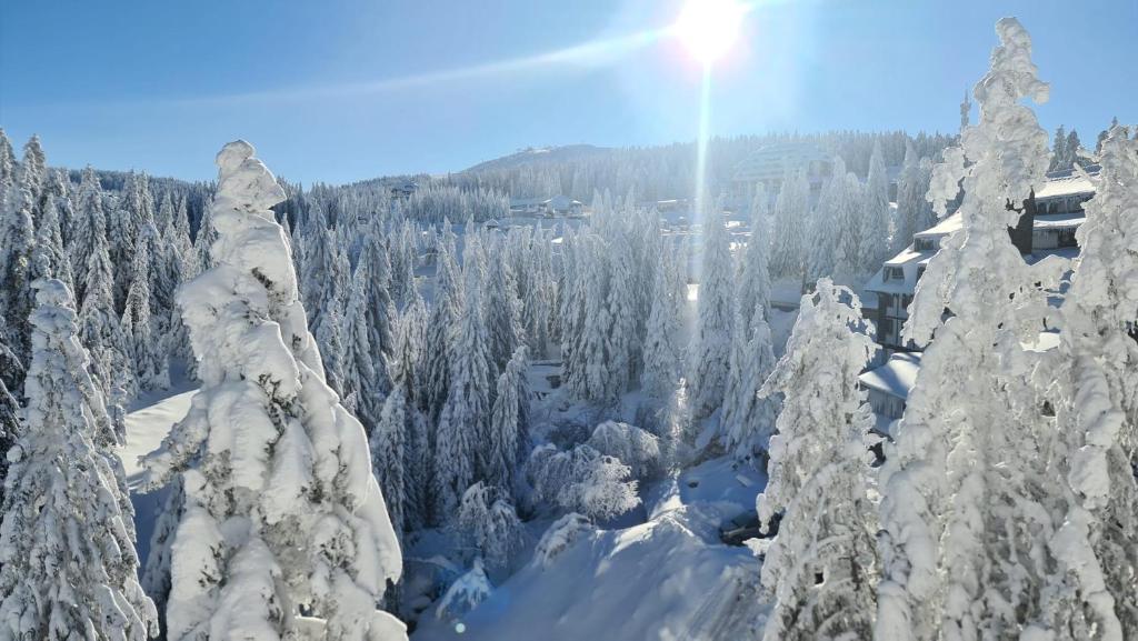Mountain Chalet Kopaonik - 5