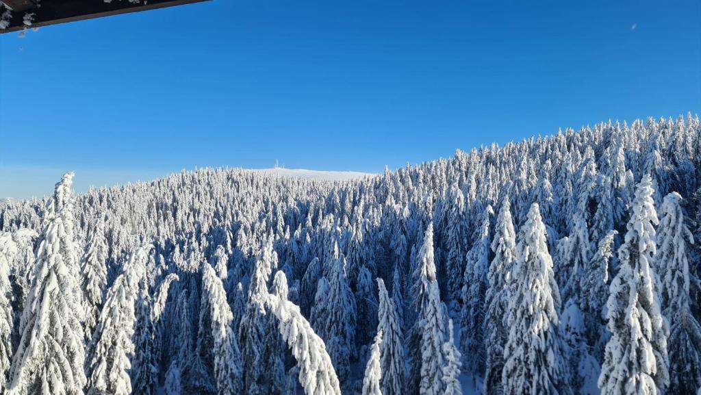 Mountain Chalet Kopaonik - 4