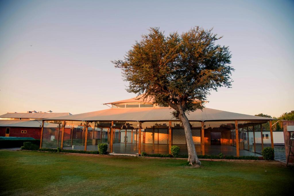 Kurja Resort Balsamand — Hotel in Jodhpur