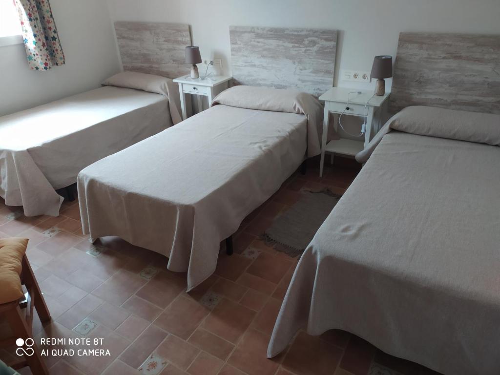 Cortijo Oliveras Moratalla - 5