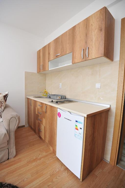 Kopaonik Apartman Sanja - 4