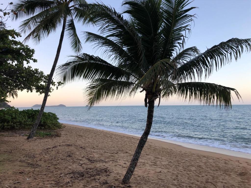 Cocos Holiday Apartments photo