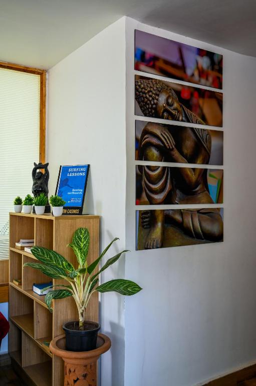 Mulberry La Blanca Resort photo
