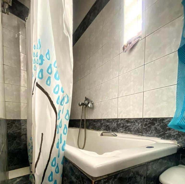 Alexandras cozy apartment Ioannina photo