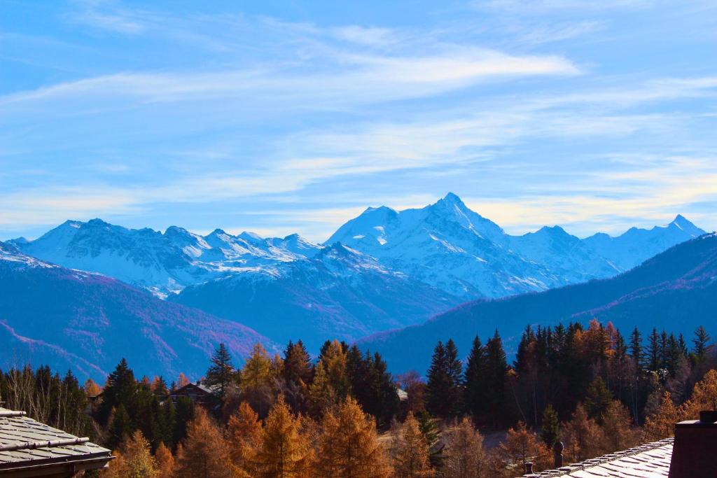 Hautes Roches - Magnifique vue sur la montagne - 5