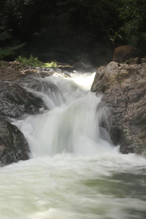 Surrounding environment