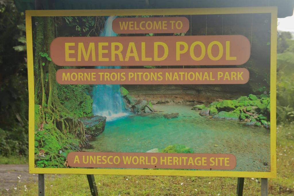 Surrounding environment