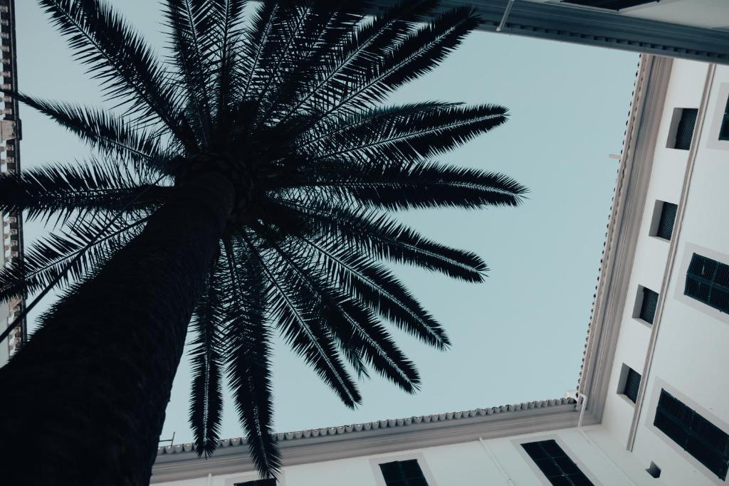 Hotel Born — Hotel rooms in Palma de Mallorca, Balearic Islands