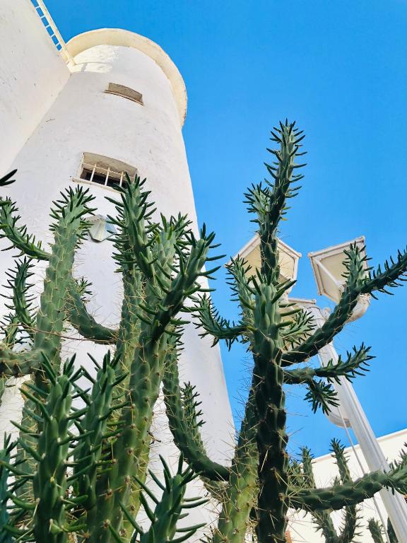 Villa Sa Torre — Hotel in Ibiza