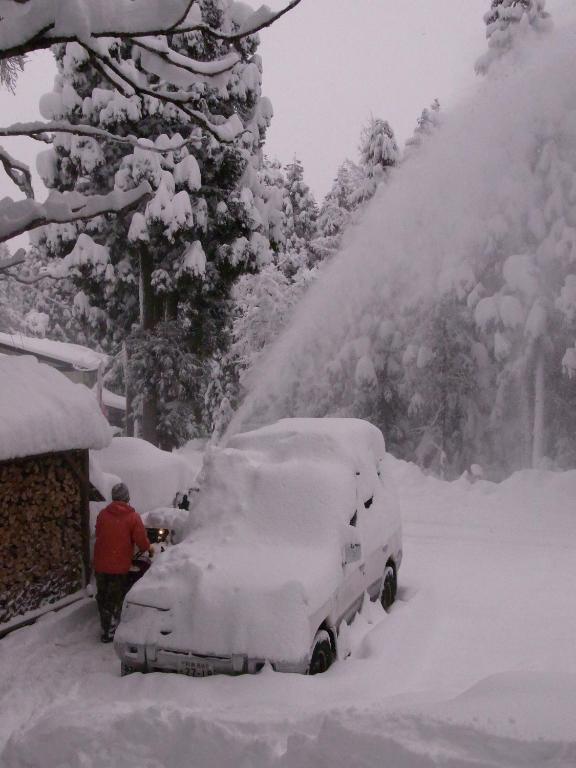 Albego Il Bosco photo