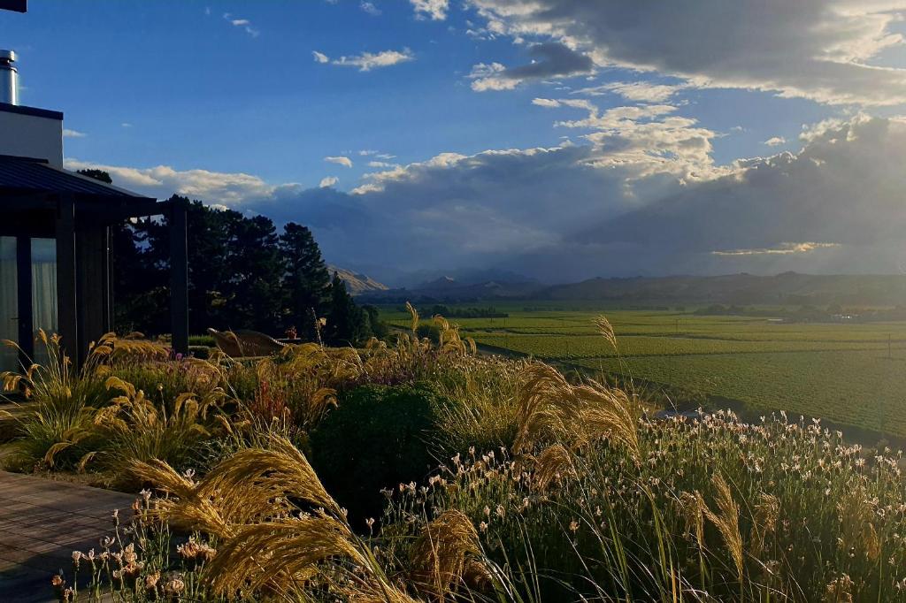 Luxury cottage with stunning vineyard views — Hotel in Blenheim