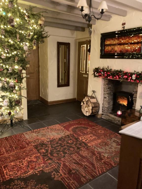 Llwyn Onn Guest House 館内設備