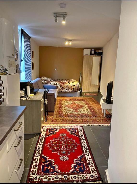 Leuven Apartments for Rent, Belgium price from 65 of Hotels