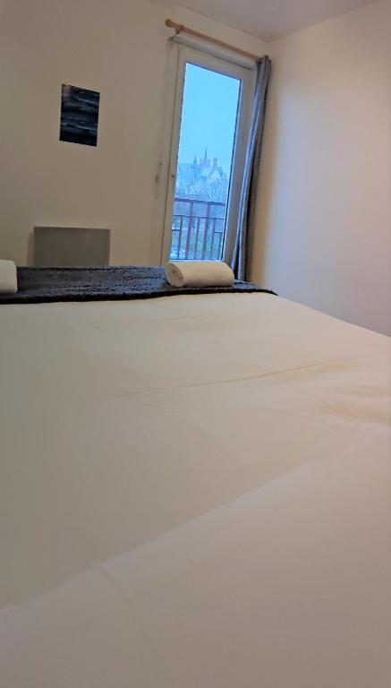 LE BACO-BACO, FACE AU CHÂTEAU, AVEC PARKING, Nantes