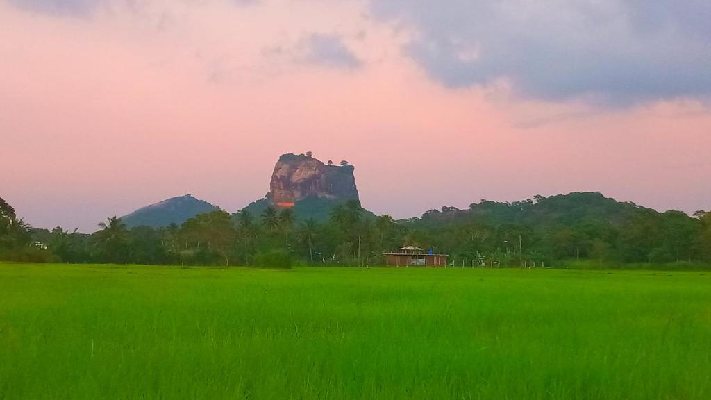 Nice View Lodge, Sigiriya
