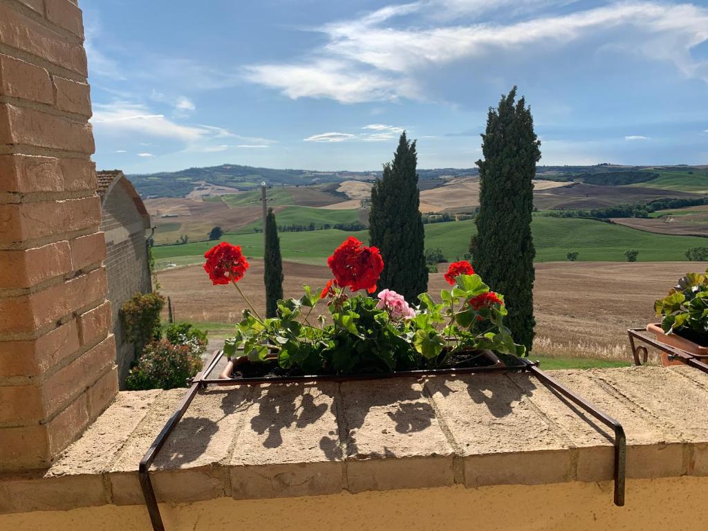 Agriturismo Poggio Tobruk photo