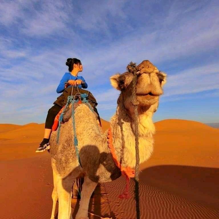 Luxury Camp Desert Sahara