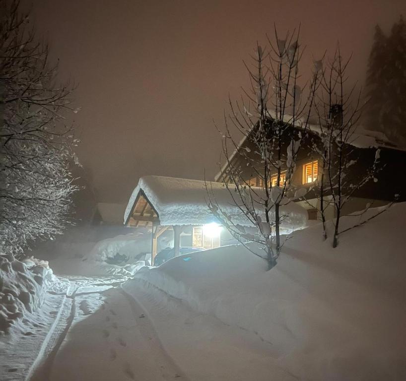 Chalet du Meilly - 3