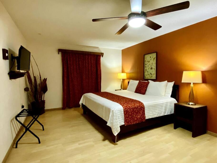 Comfortable Nautilus house photo