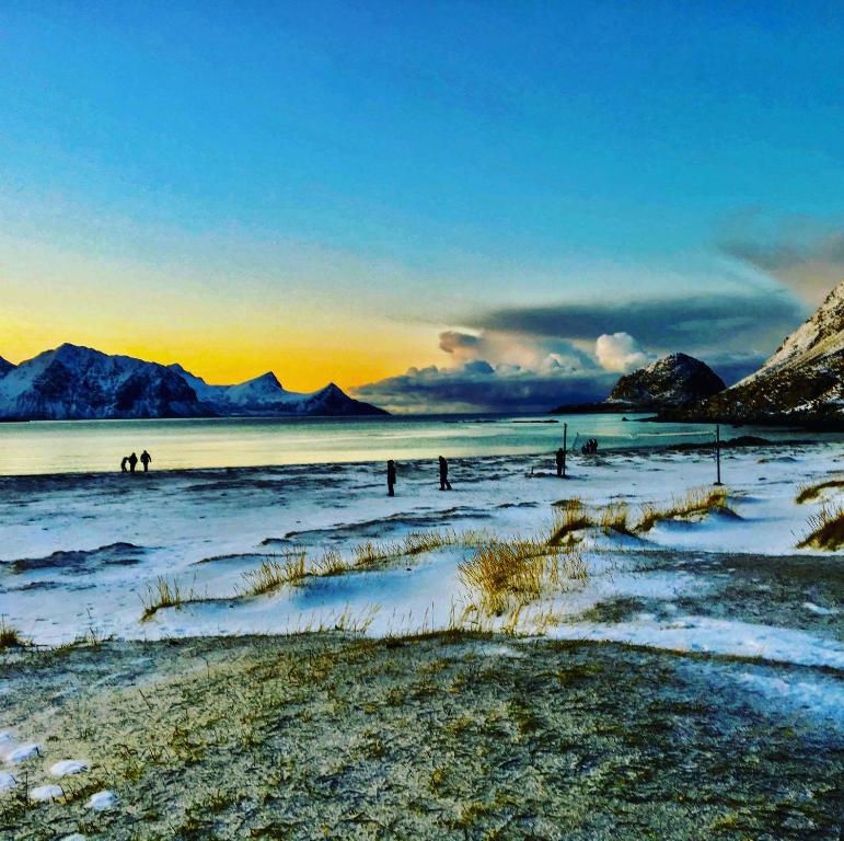 Lofoten Havfiske & Rorbuopplevelser photo