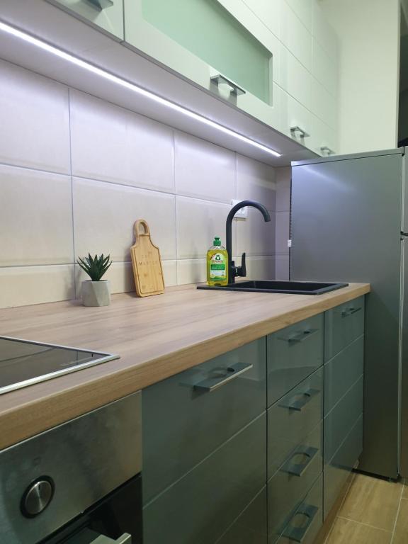 Apartman Noalux 2 Kopaonik - 5