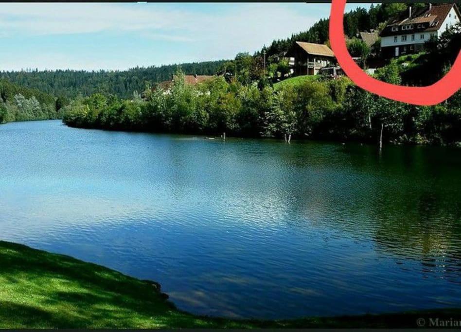 Große Ferienwohnung am Badesee