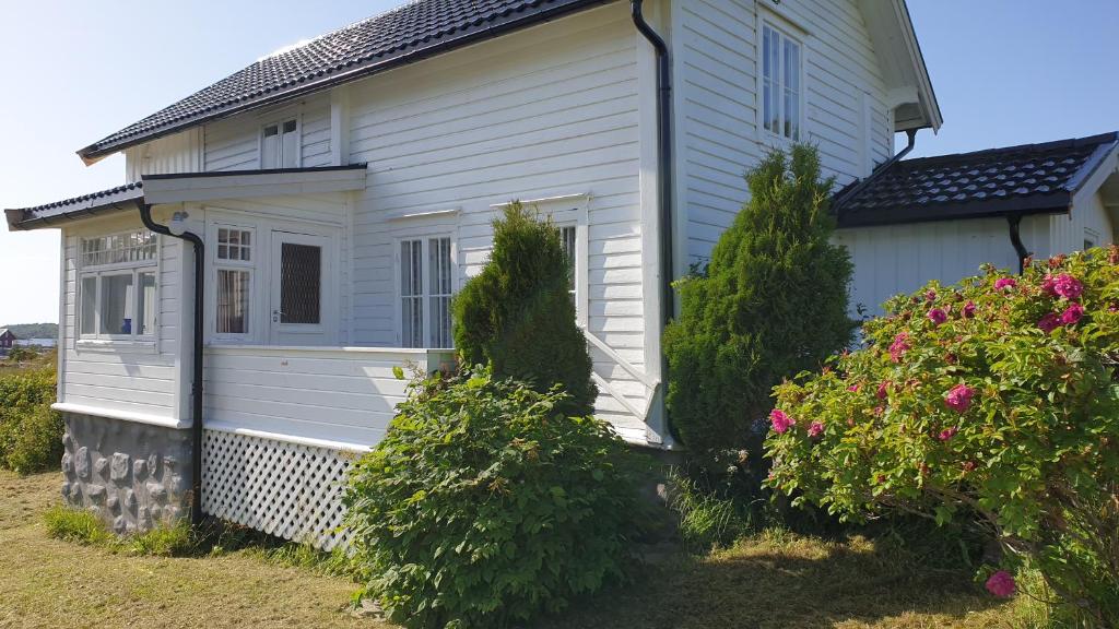 Gammelstua