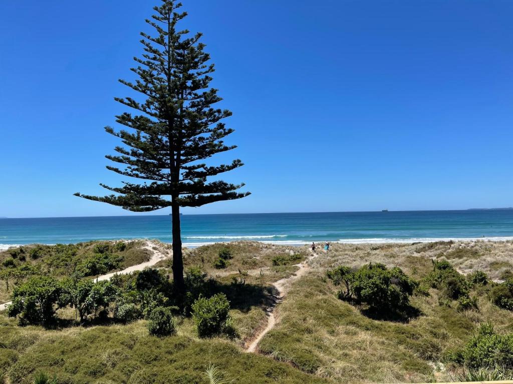 Absolute Beach photo