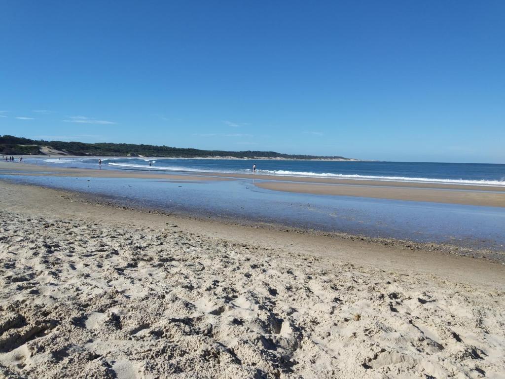 Sonidos del Mar - 3