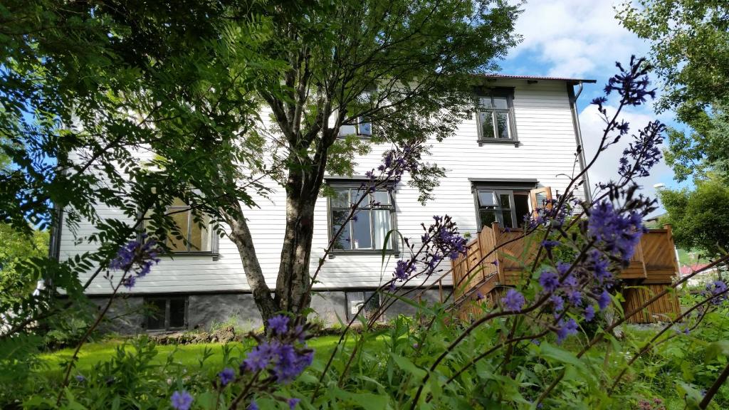 Garden, Arbol Guesthouse in Husavik