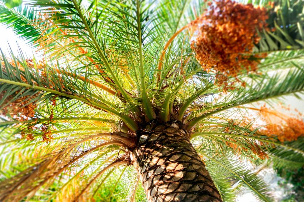 Surrounding environment