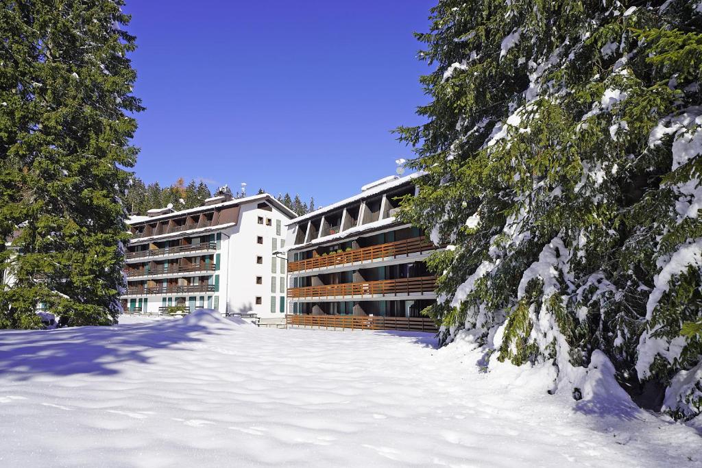 iFlat Apartment Madonna di Campiglio Zeledria 2 - 2