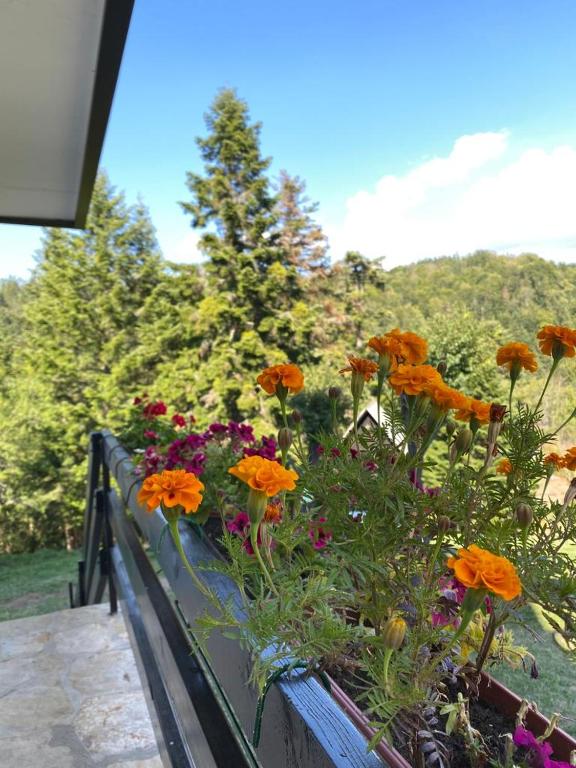 Apartmani Jarevac - 3