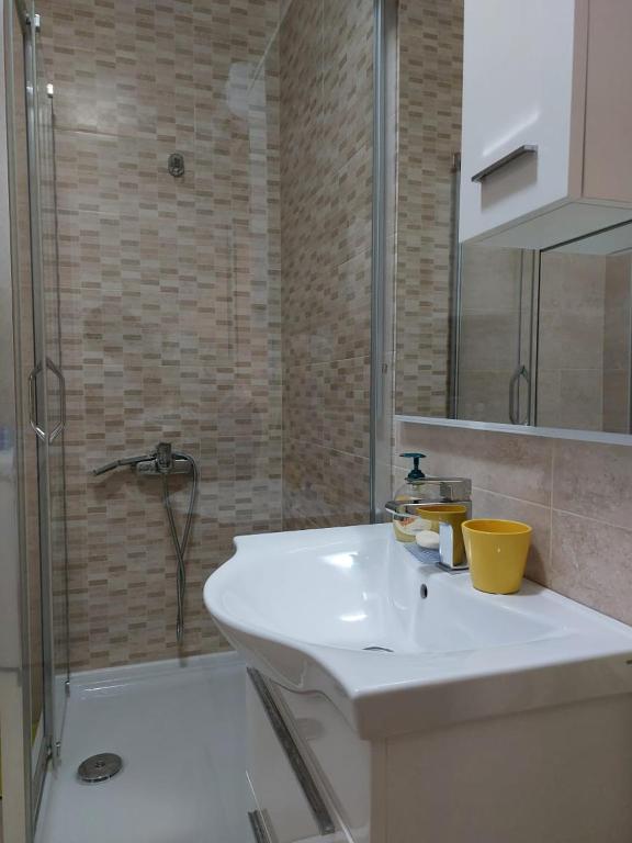 Guest house Vlahovic - 4