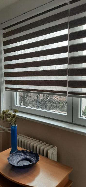 Apartman Popovic - 4