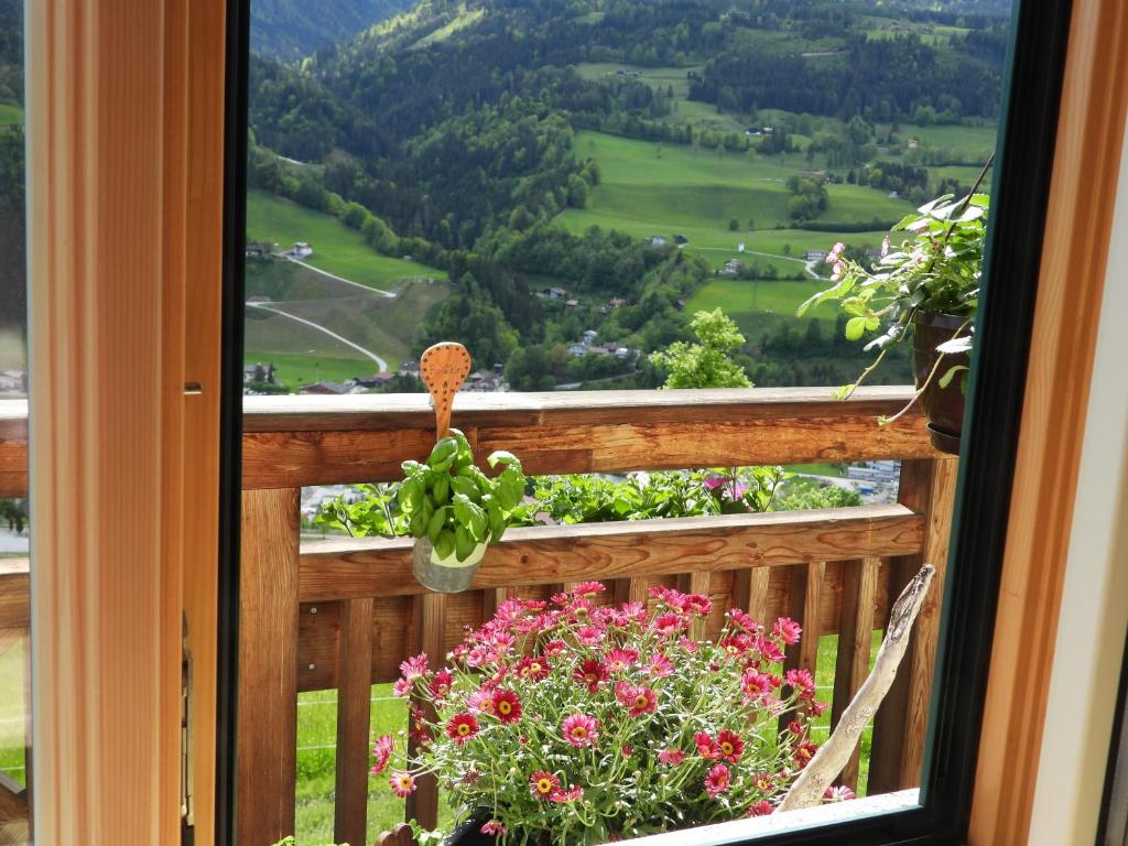 Bio-Bauernhof Einberghof - 3