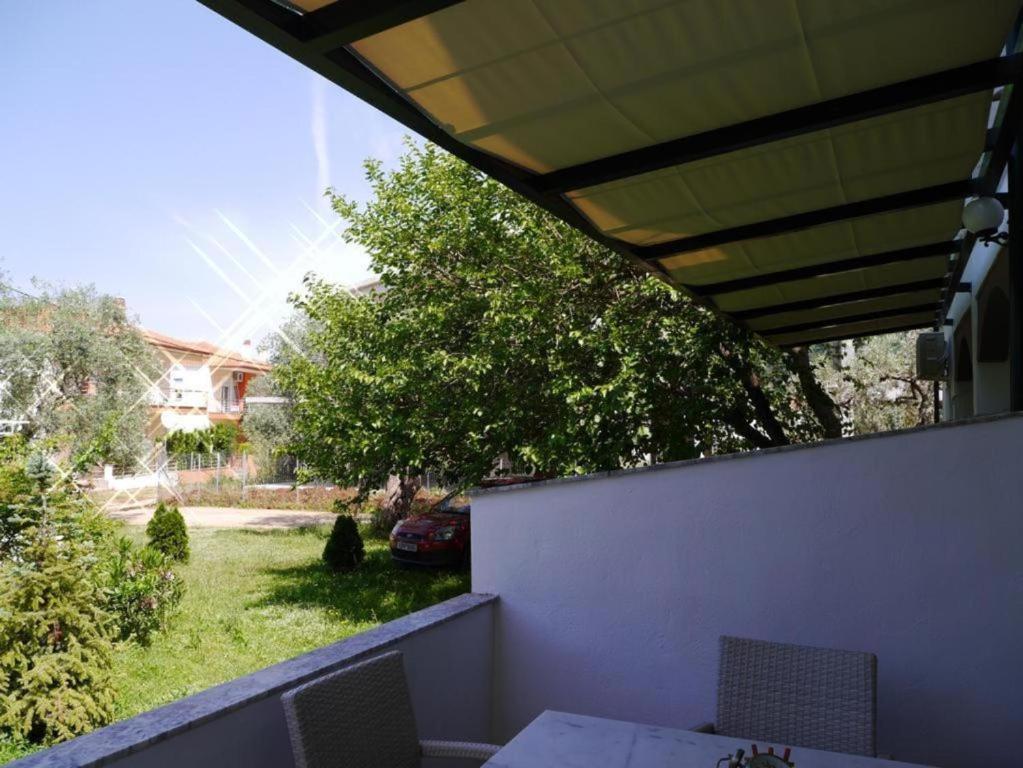 Blue Sky Apartments photo