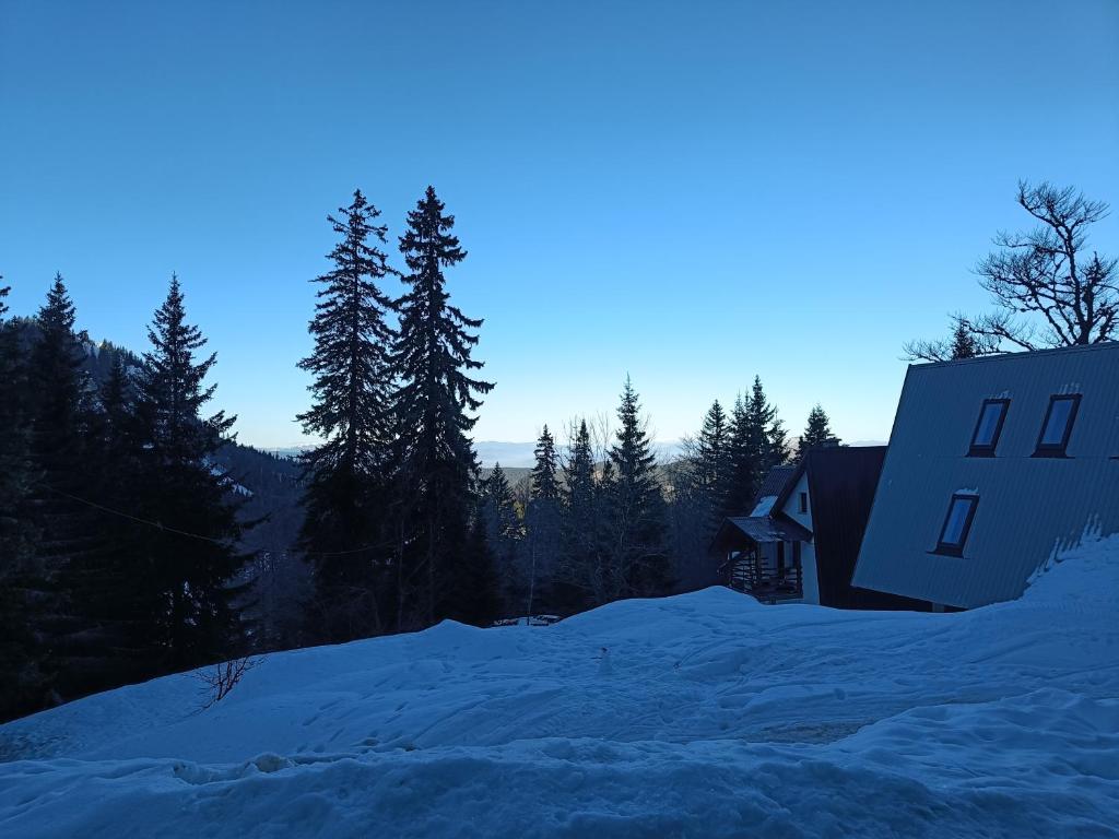 Apartments Milinkovic - 5