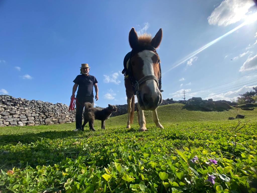 Horseback riding