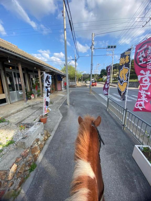 Horseback riding