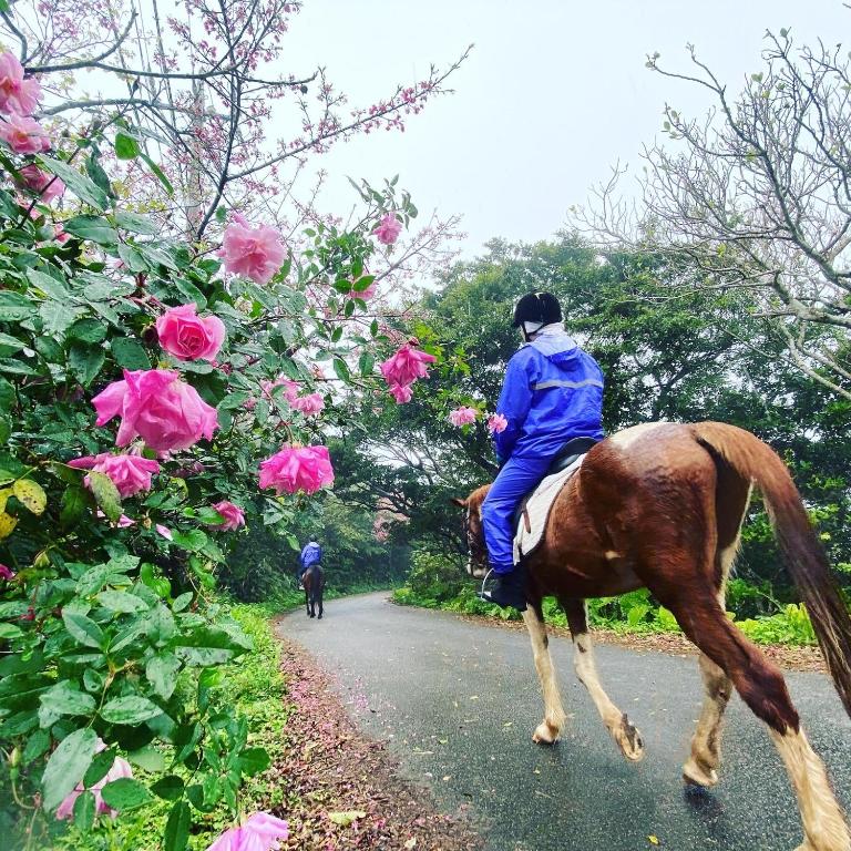 Horseback riding