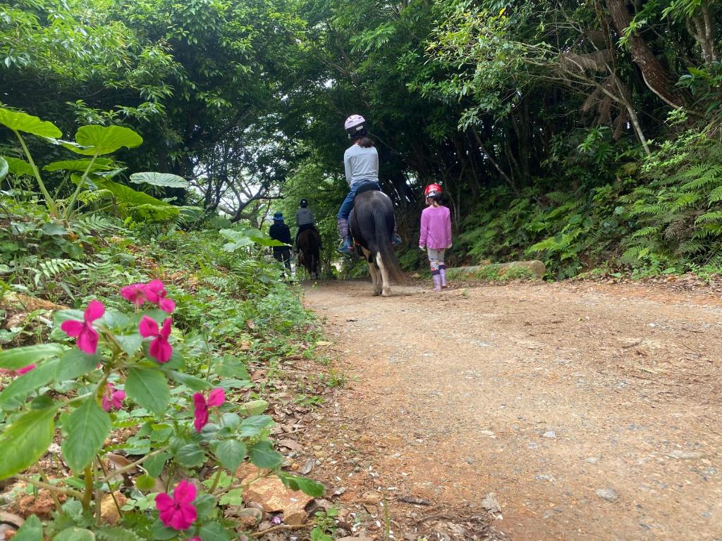 Horseback riding