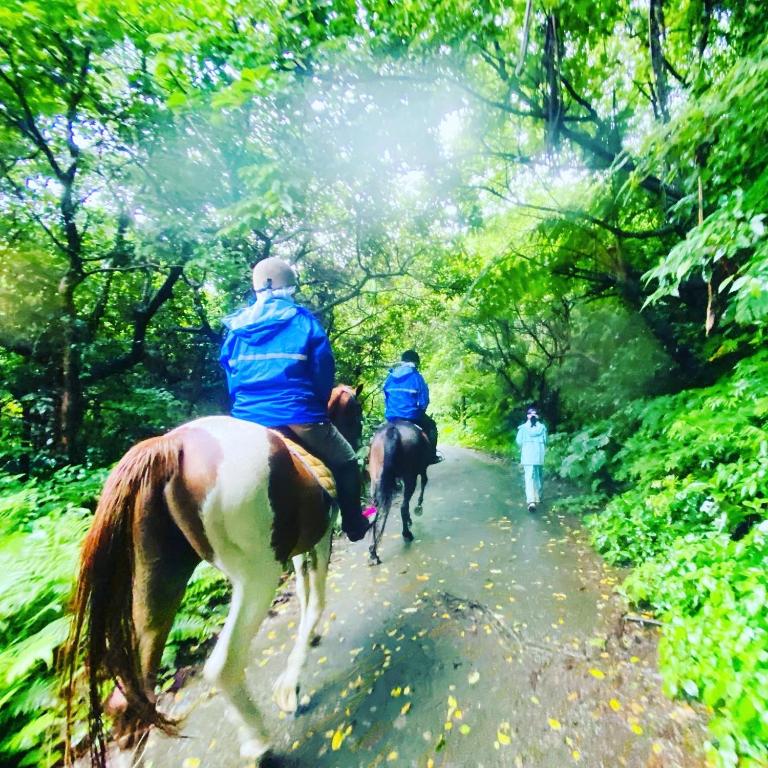 Horseback riding