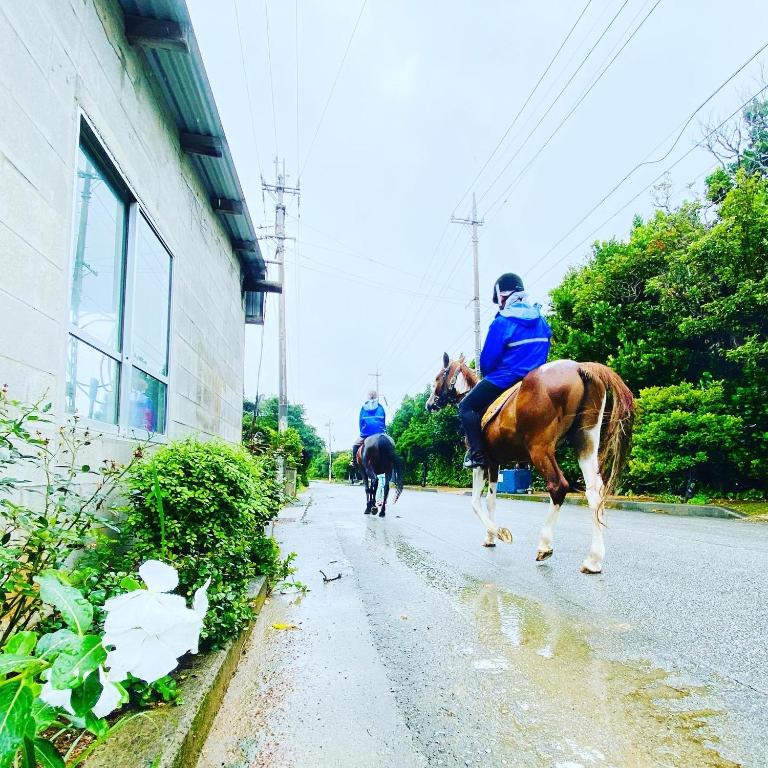 Horseback riding