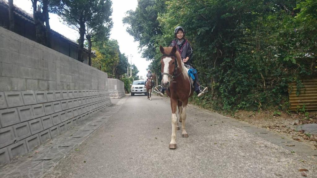 Horseback riding
