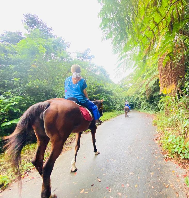 Horseback riding