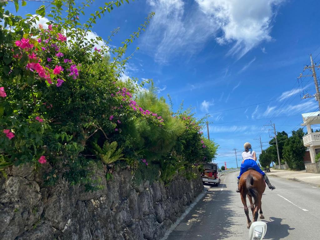 Horseback riding